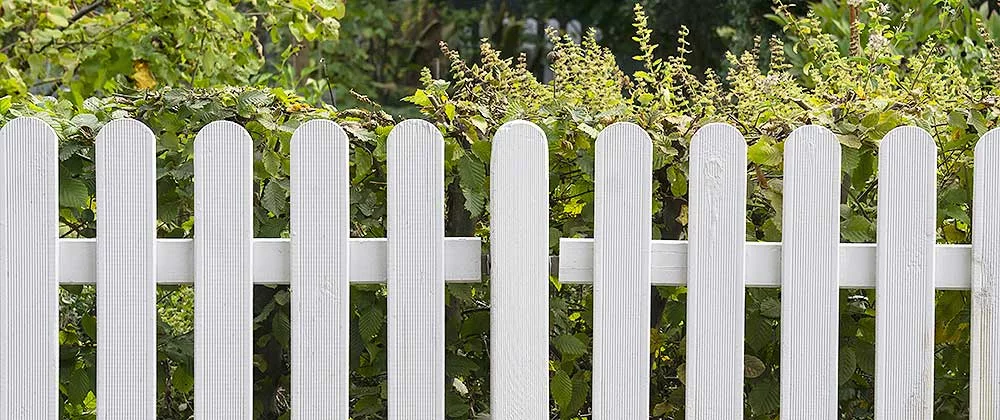 Garden Fences