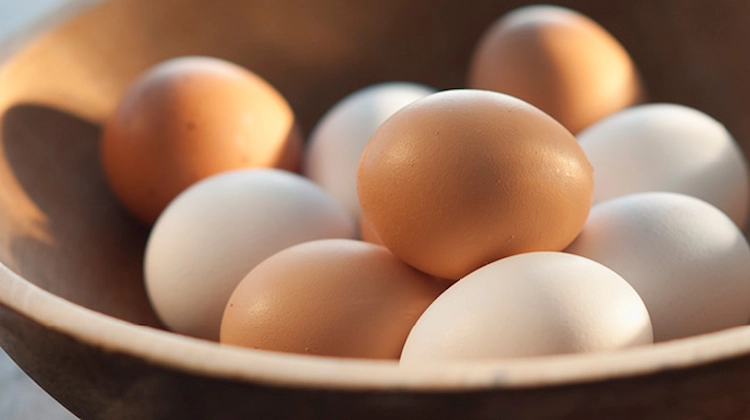 organic eggs collected in a bowl ready for daily consumption packed with antioxidant properties