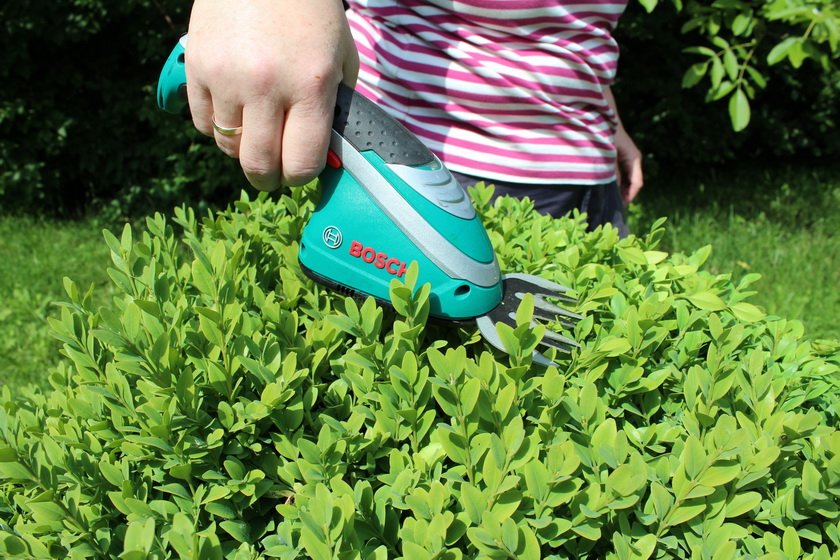 A woman is cutting a hedge with a small cordless secateurs