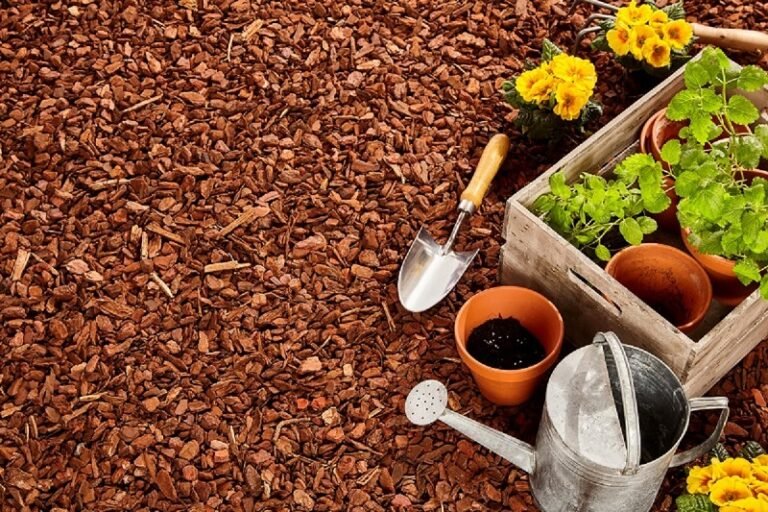 Garden Maintenance