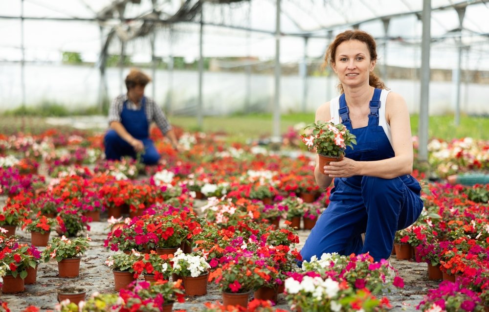 gardening dungarees for ladies